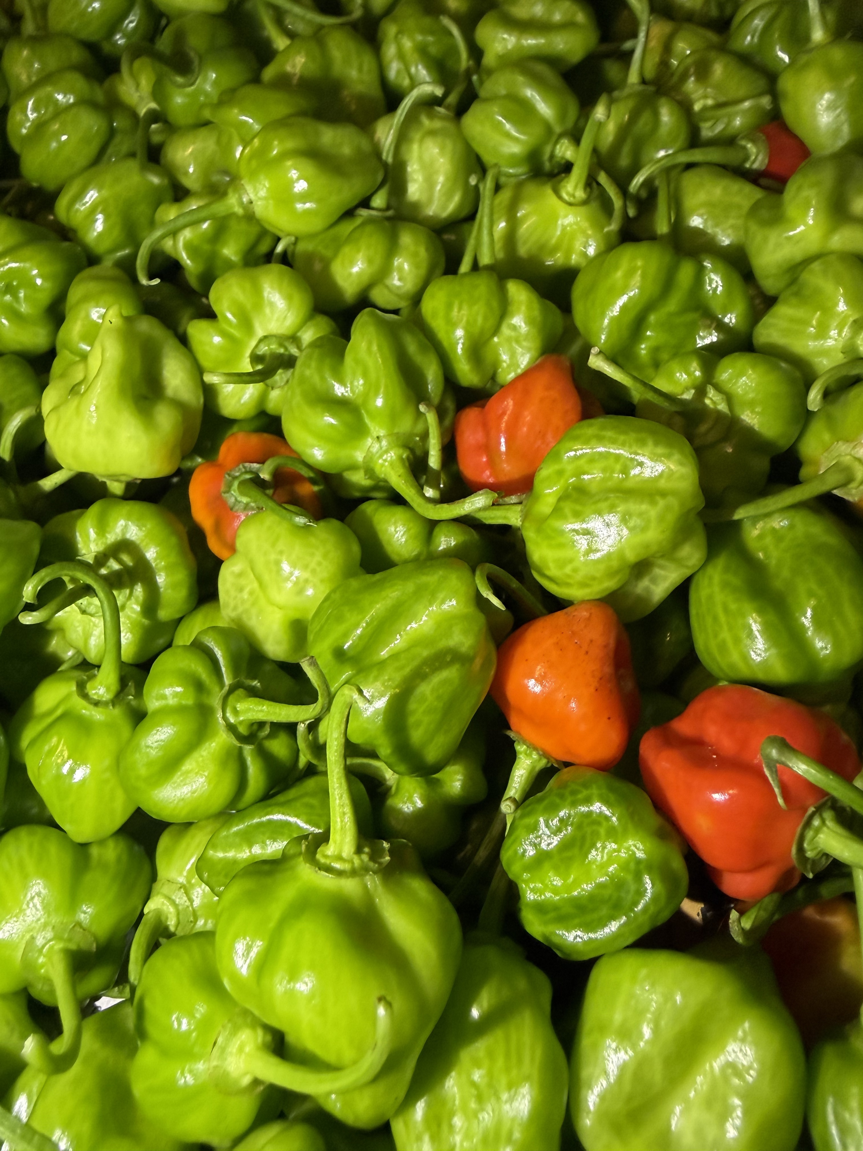 Fresh produce